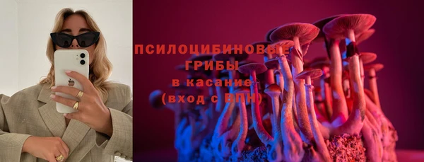 стаф Анива
