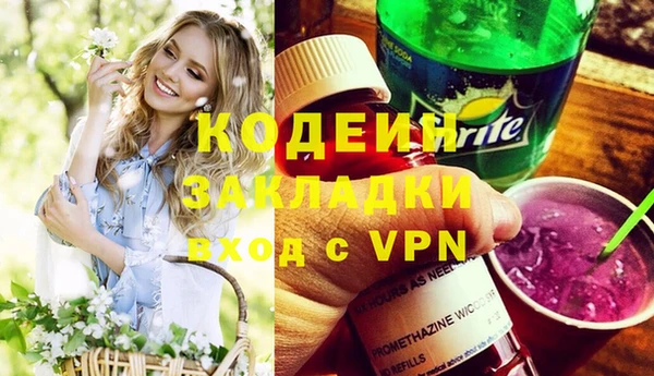 стаф Анива